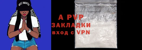 амф Белокуриха